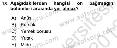 Entomoloji Dersi 2017 - 2018 Yılı (Vize) Ara Sınav Soruları 13. Soru