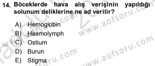 Entomoloji Dersi 2017 - 2018 Yılı (Vize) Ara Sınav Soruları 14. Soru