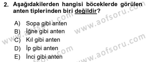 Entomoloji Dersi Ara Sınavı Deneme Sınav Soruları 2. Soru