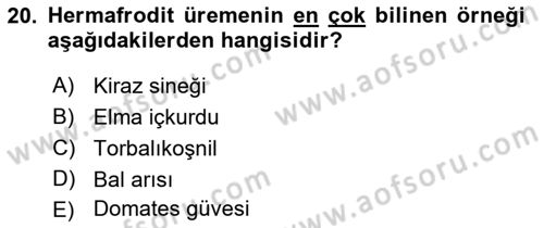 Entomoloji Dersi Ara Sınavı Deneme Sınav Soruları 20. Soru