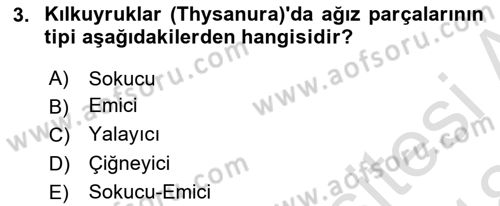Entomoloji Dersi Ara Sınavı Deneme Sınav Soruları 3. Soru
