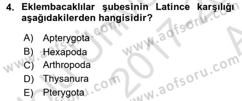 Entomoloji Dersi 2017 - 2018 Yılı (Vize) Ara Sınav Soruları 4. Soru