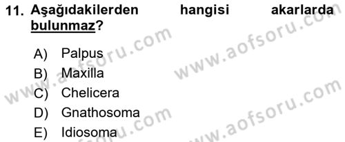Entomoloji Dersi 2017 - 2018 Yılı (Final) Dönem Sonu Sınav Soruları 11. Soru