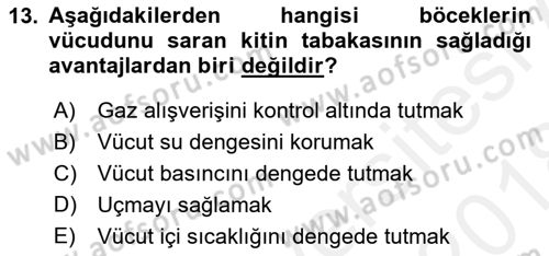 Entomoloji Dersi 2017 - 2018 Yılı (Final) Dönem Sonu Sınav Soruları 13. Soru