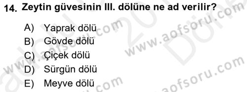 Entomoloji Dersi 2017 - 2018 Yılı (Final) Dönem Sonu Sınav Soruları 14. Soru