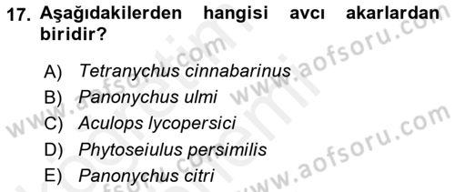 Entomoloji Dersi 2017 - 2018 Yılı (Final) Dönem Sonu Sınav Soruları 17. Soru
