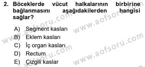 Entomoloji Dersi 2017 - 2018 Yılı (Final) Dönem Sonu Sınav Soruları 2. Soru
