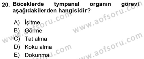 Entomoloji Dersi 2017 - 2018 Yılı (Final) Dönem Sonu Sınav Soruları 20. Soru