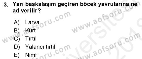 Entomoloji Dersi 2017 - 2018 Yılı (Final) Dönem Sonu Sınav Soruları 3. Soru