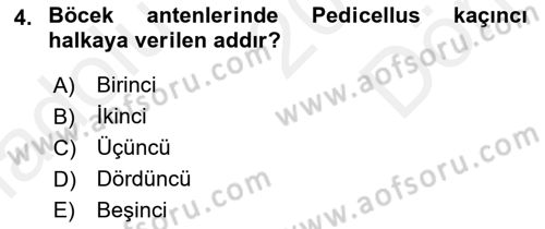 Entomoloji Dersi 2017 - 2018 Yılı (Final) Dönem Sonu Sınav Soruları 4. Soru