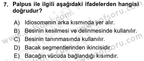 Entomoloji Dersi 2017 - 2018 Yılı (Final) Dönem Sonu Sınav Soruları 7. Soru