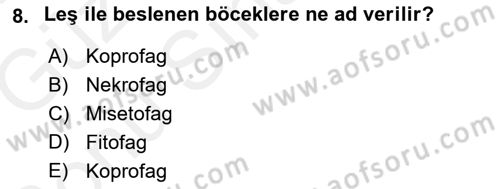 Entomoloji Dersi 2017 - 2018 Yılı (Final) Dönem Sonu Sınav Soruları 8. Soru