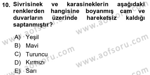 Entomoloji Dersi 2018 - 2019 Yılı 3 Ders Sınav Soruları 10. Soru