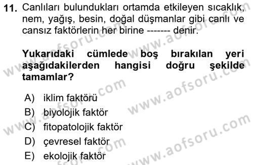 Entomoloji Dersi 2018 - 2019 Yılı 3 Ders Sınav Soruları 11. Soru