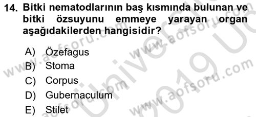 Entomoloji Dersi 2018 - 2019 Yılı 3 Ders Sınav Soruları 14. Soru