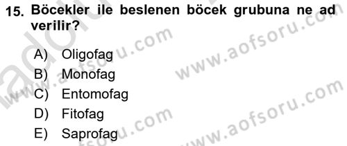 Entomoloji Dersi 2018 - 2019 Yılı 3 Ders Sınav Soruları 15. Soru