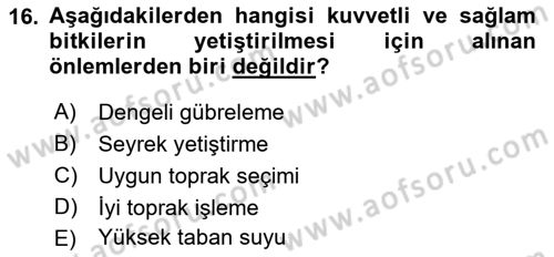 Entomoloji Dersi 2018 - 2019 Yılı 3 Ders Sınav Soruları 16. Soru