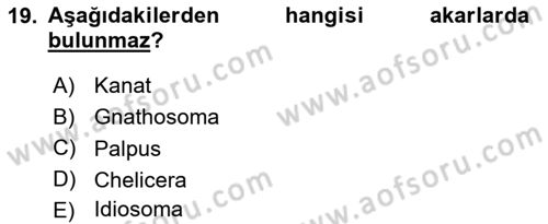 Entomoloji Dersi 2018 - 2019 Yılı 3 Ders Sınav Soruları 19. Soru