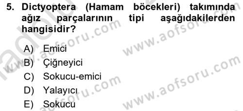 Entomoloji Dersi 2018 - 2019 Yılı 3 Ders Sınav Soruları 5. Soru