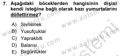 Entomoloji Dersi 2018 - 2019 Yılı 3 Ders Sınav Soruları 7. Soru
