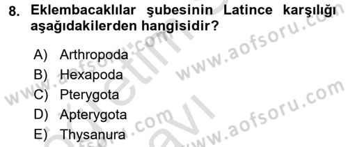 Entomoloji Dersi 2018 - 2019 Yılı 3 Ders Sınav Soruları 8. Soru