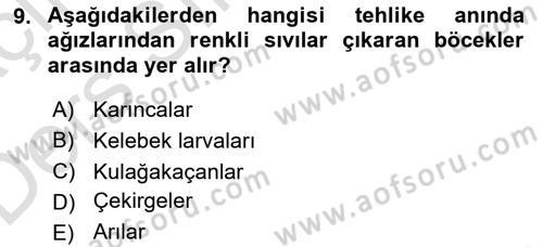 Entomoloji Dersi 2018 - 2019 Yılı 3 Ders Sınav Soruları 9. Soru