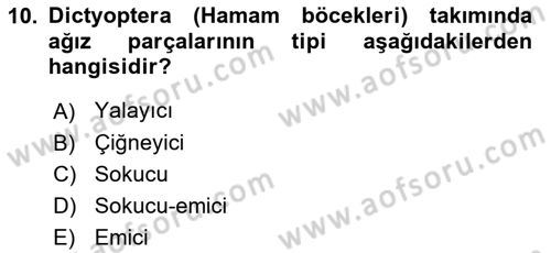 Entomoloji Dersi 2018 - 2019 Yılı (Vize) Ara Sınav Soruları 10. Soru