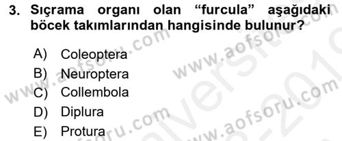 Entomoloji Dersi Ara Sınavı Deneme Sınav Soruları 3. Soru