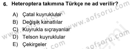 Entomoloji Dersi Ara Sınavı Deneme Sınav Soruları 6. Soru