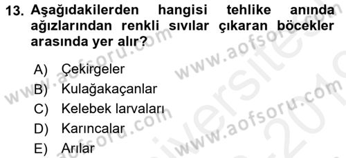 Entomoloji Dersi 2018 - 2019 Yılı (Final) Dönem Sonu Sınav Soruları 13. Soru
