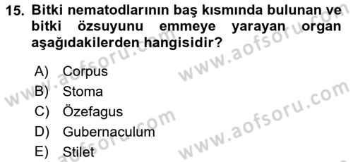 Entomoloji Dersi 2018 - 2019 Yılı (Final) Dönem Sonu Sınav Soruları 15. Soru