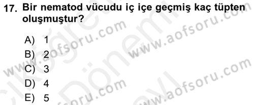 Entomoloji Dersi 2018 - 2019 Yılı (Final) Dönem Sonu Sınav Soruları 17. Soru