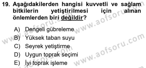 Entomoloji Dersi 2018 - 2019 Yılı (Final) Dönem Sonu Sınav Soruları 19. Soru
