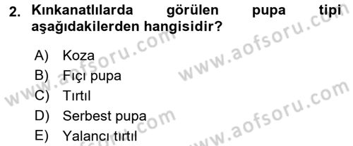 Entomoloji Dersi 2018 - 2019 Yılı (Final) Dönem Sonu Sınav Soruları 2. Soru