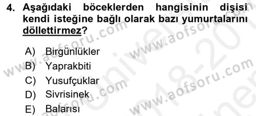 Entomoloji Dersi 2018 - 2019 Yılı (Final) Dönem Sonu Sınav Soruları 4. Soru