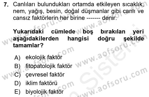 Entomoloji Dersi 2018 - 2019 Yılı (Final) Dönem Sonu Sınav Soruları 7. Soru