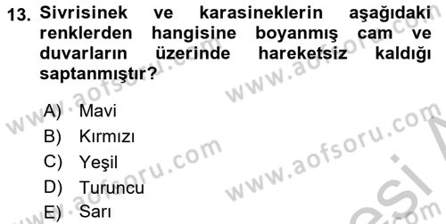 Entomoloji Dersi 2018 - 2019 Yılı Yaz Okulu Sınav Soruları 13. Soru