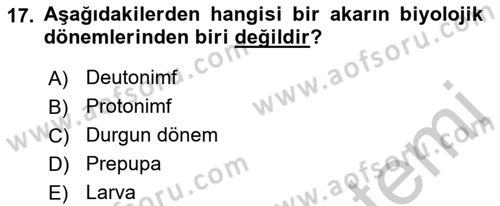 Entomoloji Dersi 2018 - 2019 Yılı Yaz Okulu Sınav Soruları 17. Soru