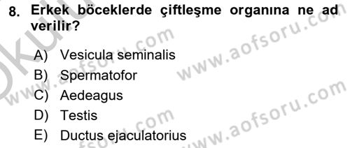 Entomoloji Dersi 2018 - 2019 Yılı Yaz Okulu Sınav Soruları 8. Soru