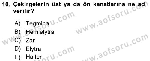 Entomoloji Dersi 2019 - 2020 Yılı (Vize) Ara Sınav Soruları 10. Soru