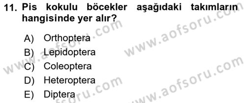 Entomoloji Dersi 2019 - 2020 Yılı (Vize) Ara Sınav Soruları 11. Soru