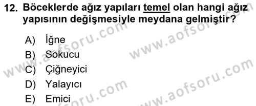 Entomoloji Dersi Ara Sınavı Deneme Sınav Soruları 12. Soru