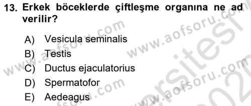 Entomoloji Dersi 2019 - 2020 Yılı (Vize) Ara Sınav Soruları 13. Soru