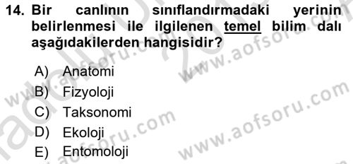 Entomoloji Dersi Ara Sınavı Deneme Sınav Soruları 14. Soru