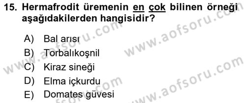 Entomoloji Dersi 2019 - 2020 Yılı (Vize) Ara Sınav Soruları 15. Soru