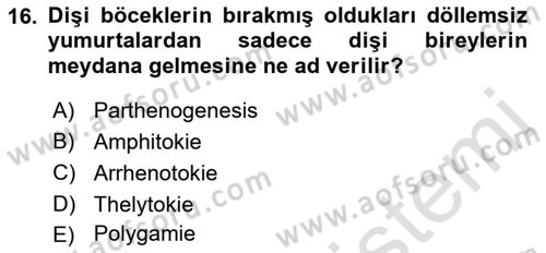 Entomoloji Dersi 2019 - 2020 Yılı (Vize) Ara Sınav Soruları 16. Soru