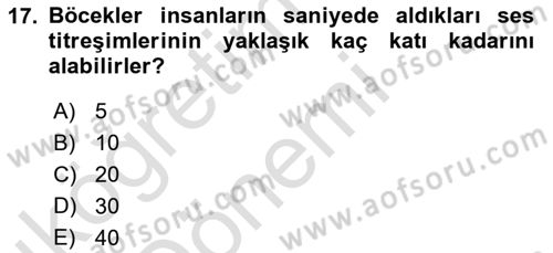 Entomoloji Dersi 2019 - 2020 Yılı (Vize) Ara Sınav Soruları 17. Soru