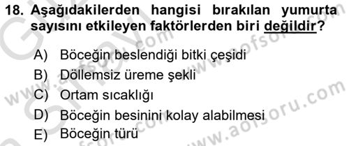 Entomoloji Dersi Ara Sınavı Deneme Sınav Soruları 18. Soru
