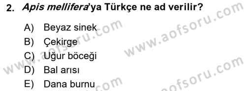 Entomoloji Dersi 2019 - 2020 Yılı (Vize) Ara Sınav Soruları 2. Soru