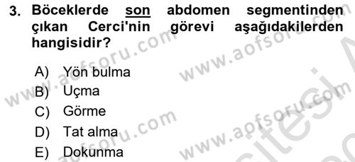 Entomoloji Dersi 2019 - 2020 Yılı (Vize) Ara Sınav Soruları 3. Soru